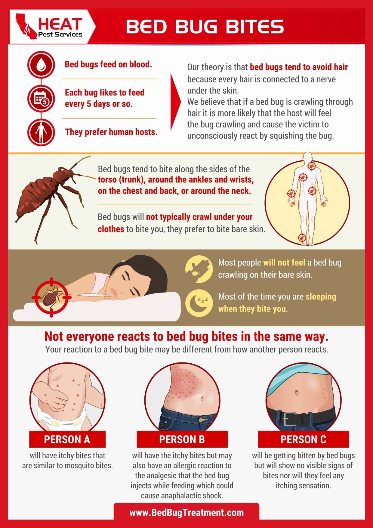 Bed Bug Bites In Los Angeles California V